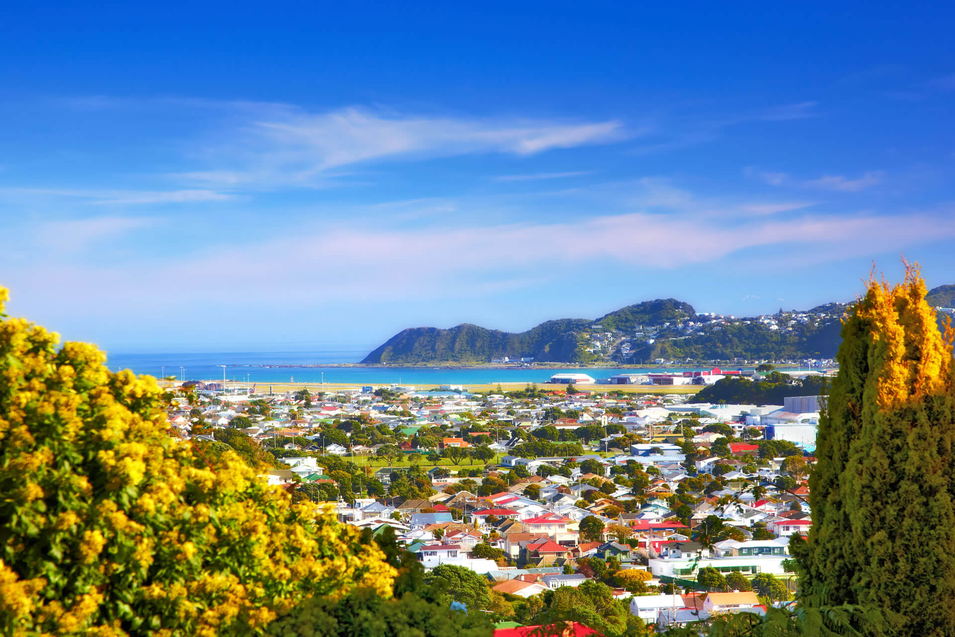 north-island-new-zealand-roda-mundo-intercambio
